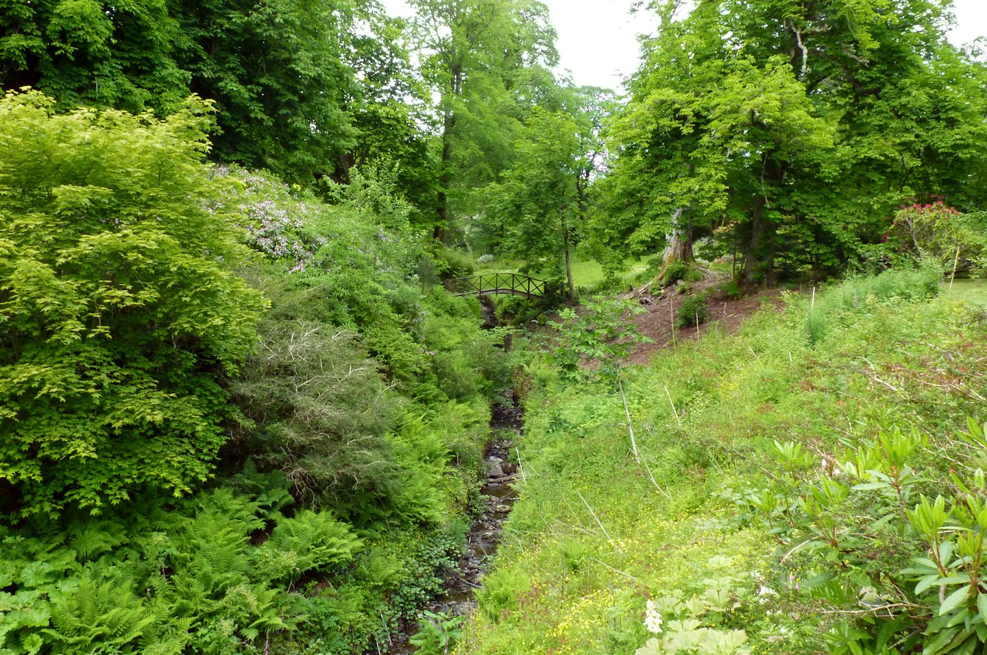 A wooden bridge crosses a stream through a lush green valley.